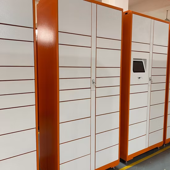 Smart Luggage Parcel Delivery Pickup Locker for Express