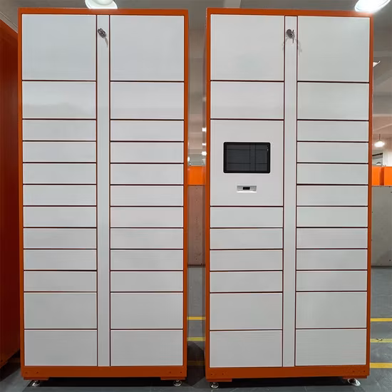 Smart Luggage Parcel Delivery Pickup Locker for Express