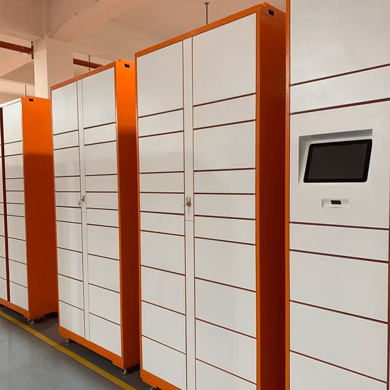 Smart Luggage Parcel Delivery Pickup Locker for Express